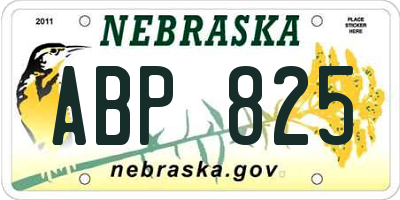 NE license plate ABP825