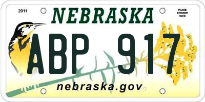 NE license plate ABP917