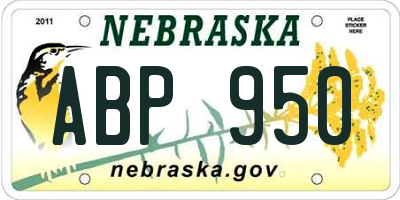 NE license plate ABP950