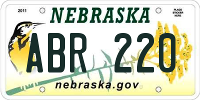 NE license plate ABR220