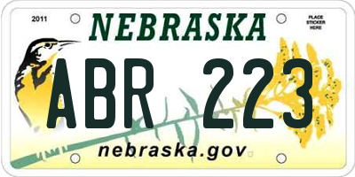 NE license plate ABR223