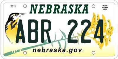 NE license plate ABR224
