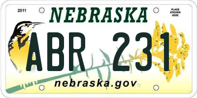 NE license plate ABR231