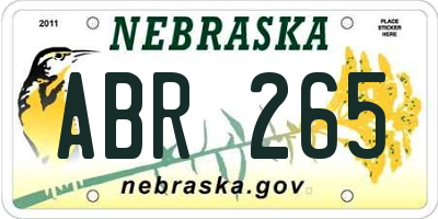 NE license plate ABR265