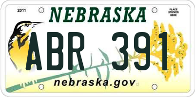 NE license plate ABR391