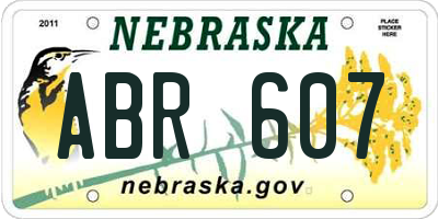 NE license plate ABR607