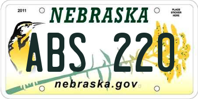NE license plate ABS220