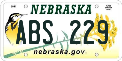 NE license plate ABS229