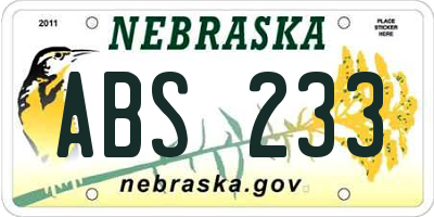 NE license plate ABS233
