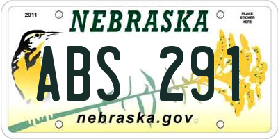 NE license plate ABS291