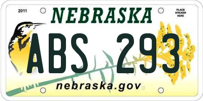 NE license plate ABS293