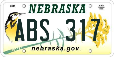 NE license plate ABS317