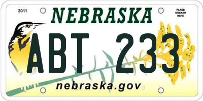 NE license plate ABT233