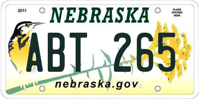 NE license plate ABT265