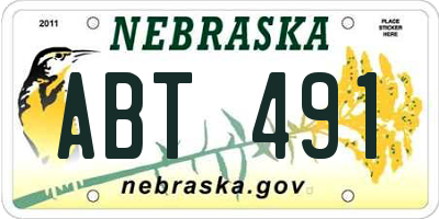 NE license plate ABT491