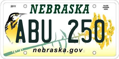 NE license plate ABU250