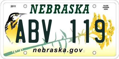 NE license plate ABV119