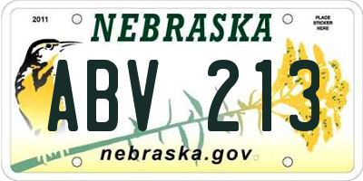 NE license plate ABV213