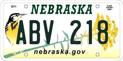 NE license plate ABV218