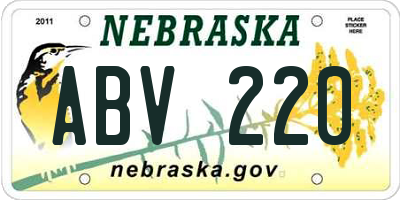 NE license plate ABV220