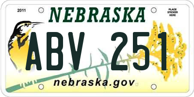 NE license plate ABV251