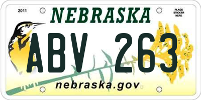 NE license plate ABV263