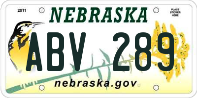 NE license plate ABV289