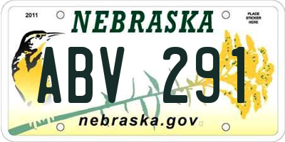 NE license plate ABV291