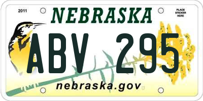 NE license plate ABV295