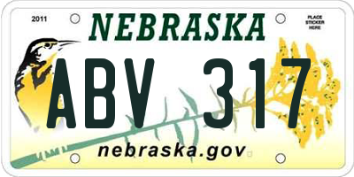 NE license plate ABV317
