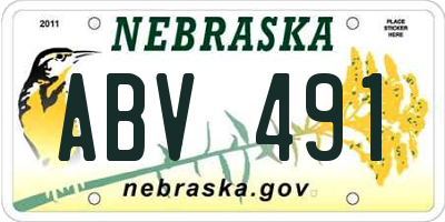NE license plate ABV491