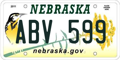 NE license plate ABV599