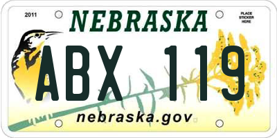 NE license plate ABX119