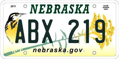 NE license plate ABX219