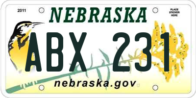 NE license plate ABX231