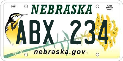 NE license plate ABX234