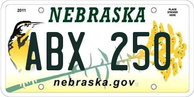 NE license plate ABX250