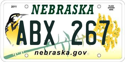 NE license plate ABX267