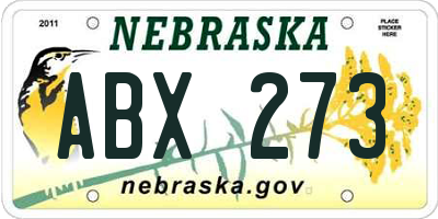 NE license plate ABX273