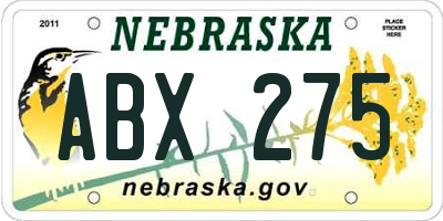 NE license plate ABX275