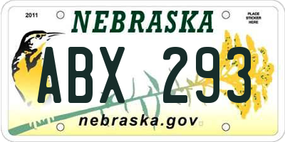 NE license plate ABX293