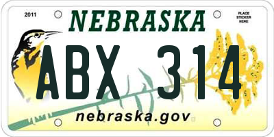 NE license plate ABX314