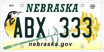 NE license plate ABX333