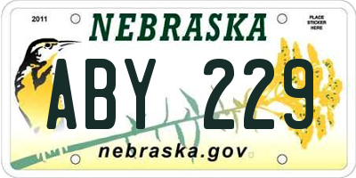 NE license plate ABY229