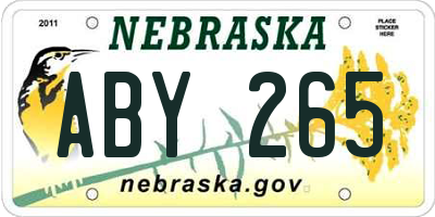 NE license plate ABY265