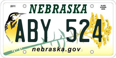 NE license plate ABY524