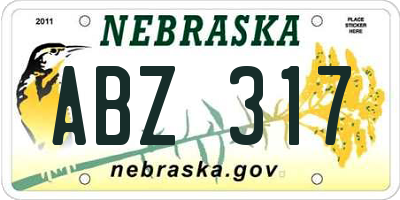 NE license plate ABZ317