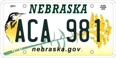 NE license plate ACA981