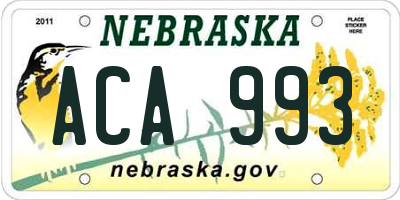 NE license plate ACA993