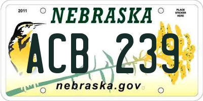 NE license plate ACB239
